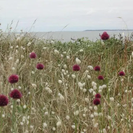 Avec Jardin, Proche Plages, Wifi Et Activités En Famille! - Fr-1-306-1031 * Saint-Brévin-les-Pins