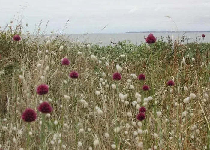 Avec Jardin, Proche Plages, Wifi Et Activités En Famille! - Fr-1-306-1031 * Saint-Brévin-les-Pins